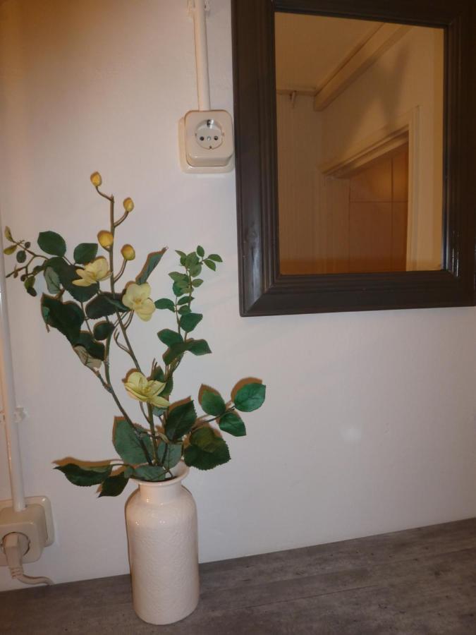 Huis De Roos De Kwakel ภายนอก รูปภาพ