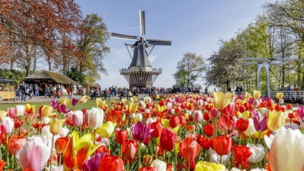 Huis De Roos De Kwakel ภายนอก รูปภาพ